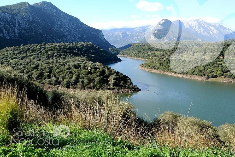 Sardegna-Nascosta-Escursioni-in-Sardegna-17-900×600
