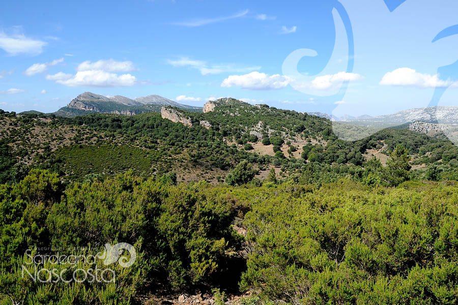 Sardegna-Nascosta-Escursioni-in-Sardegna-27-900×600